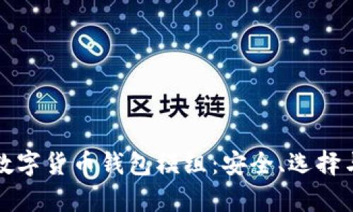全面解析数字货币钱包模组：安全、选择与未来发展