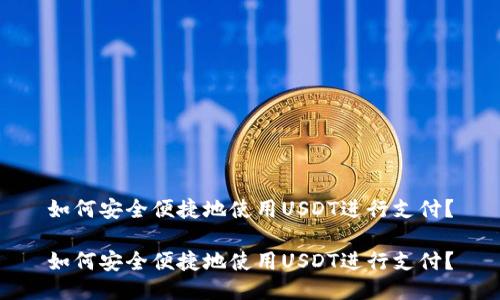 如何安全便捷地使用USDT进行支付？

如何安全便捷地使用USDT进行支付？
