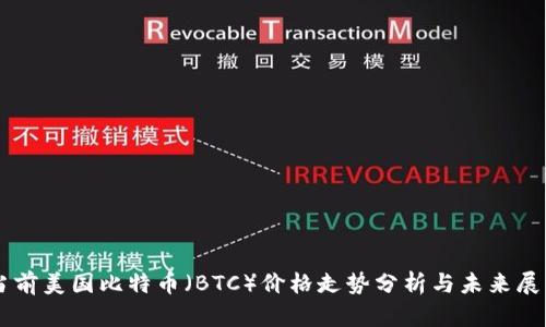 当前美国比特币（BTC）价格走势分析与未来展望