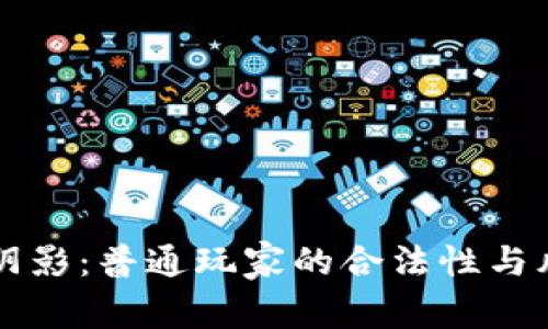 网赌的阴影：普通玩家的合法性与风险剖析