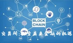 数字币交易所：探索未来金融的机遇与挑战