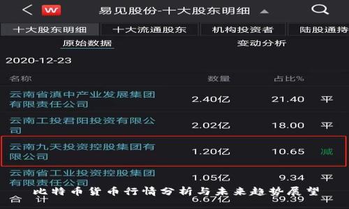 比特币货币行情分析与未来趋势展望