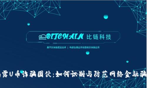 揭露U币诈骗团伙：如何识别与防范网络金融骗局