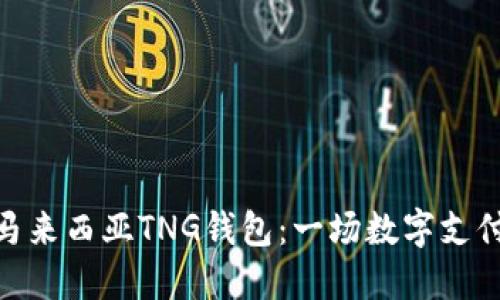 探索马来西亚TNG钱包：一场数字支付革命
