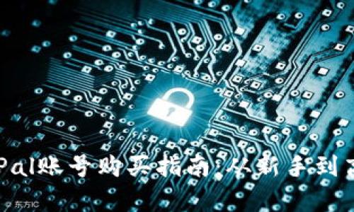  安全便捷的PayPal账号购买指南：从新手到高手的全方位解析