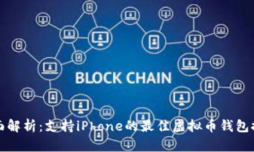全面解析：支持iPhone的最佳虚拟币钱包推荐