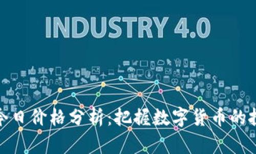 比特币今日价格分析：把握数字货币的投资机会