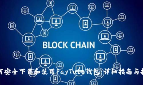 如何安全下载和使用PayTube钱包：详细指南与技巧