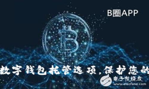 探索最好的数字钱包托管选项，保护您的资产与隐私