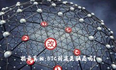 揭开真相：BTC到底是骗局吗？