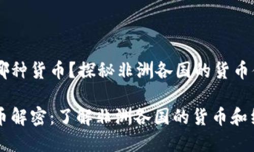 非洲是哪种货币？探秘非洲各国的货币体系

非洲货币解密：了解非洲各国的货币和经济脉动