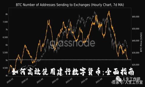 如何高效使用建行数字货币：全面指南
